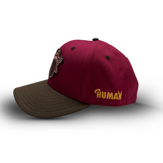 HUMAN BSN/BWN