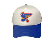 5 Panel STL MASHUP NTRL/BLU Snapback